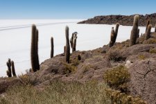 uyuni3.JPG