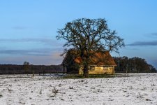 2 Snow shoot outside Stixwould track to farm on Woodhall road 23-1-2019 midday.jpg