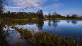 Whitehill Earth Station Oxfordshire flooded pond 03-02-2020.jpg