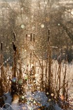 Winter-Glitter-9.jpg