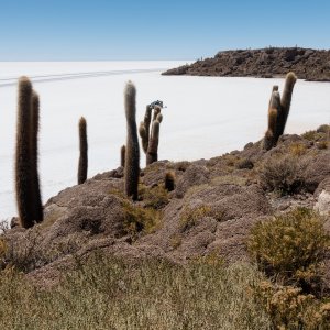 uyuni3.JPG