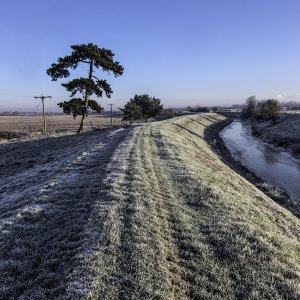 walk dogs frosty Duckpool Road Drain to the River Witham 16-12-22_60.jpg