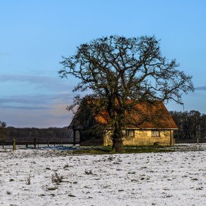 2 Snow shoot outside Stixwould track to farm on Woodhall road 23-1-2019 midday.jpg