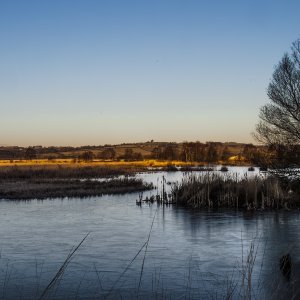 Tragaron Bog Feb 2010.jpg