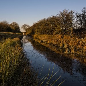 walking the dogs linconshire drains next to witham_12_26_2022_12.jpg