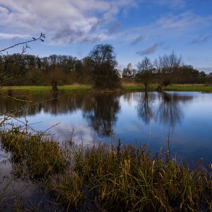 Whitehill Earth Station Oxfordshire flooded pond 03-02-2020.jpg