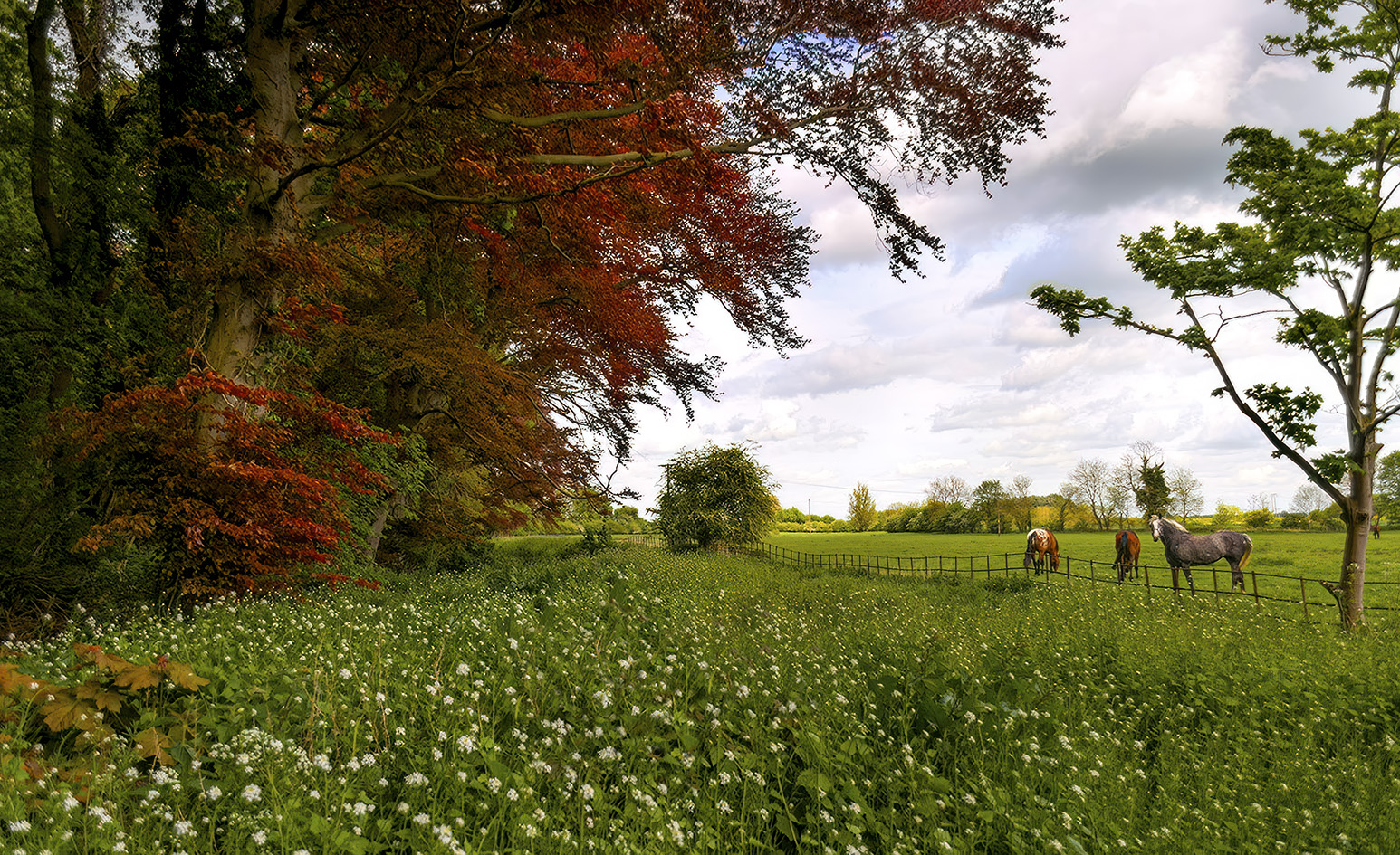 Bardney walk reworked.jpg