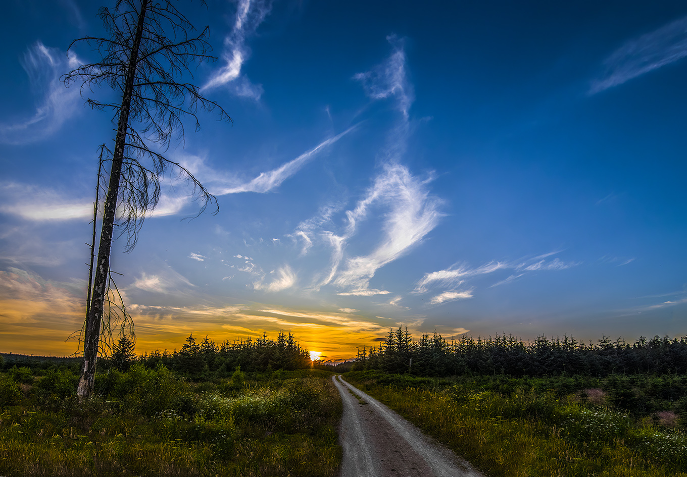 HighLangdale - Langdale End - Yorkshire - sunset.jpg