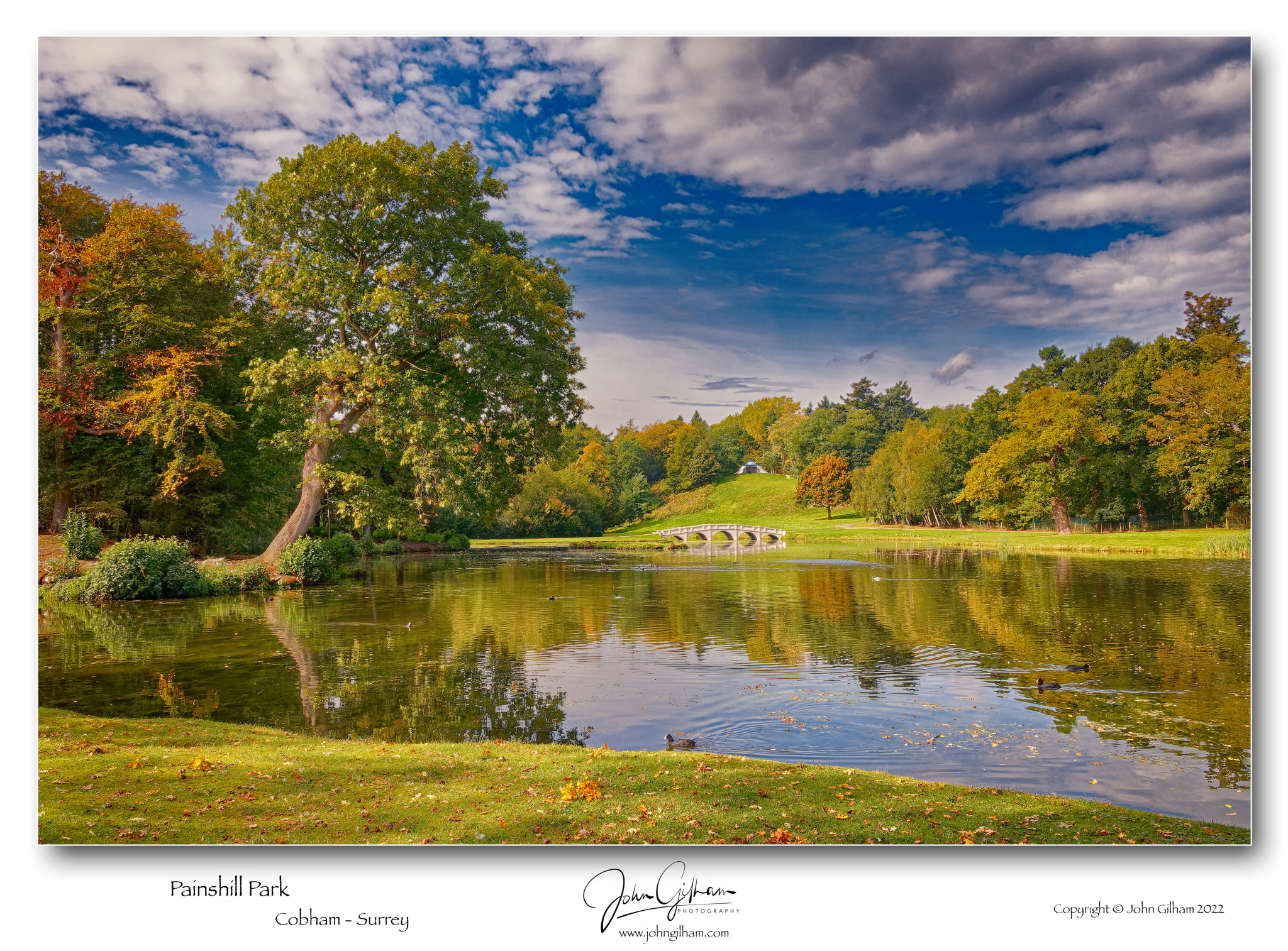 (IMG_0881) Painshill Park S_DxO.jpg