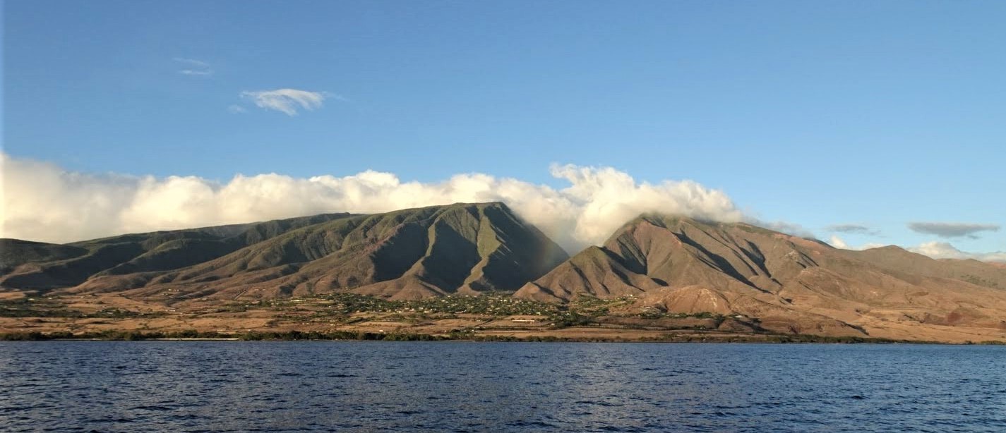 Maui Coastal (2).jpg