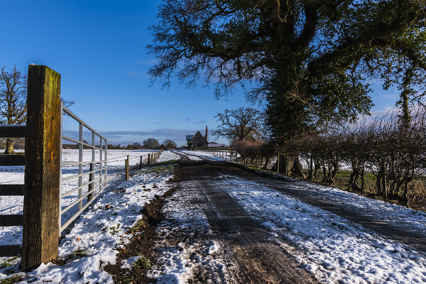 Snow shoot outside Stixwould track to farm on Woodhall road 23-1-2019 midday.jpg