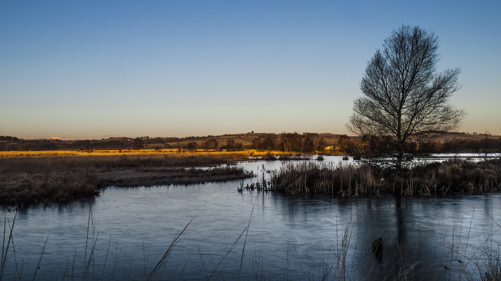 Tragaron Bog Feb 2010.jpg