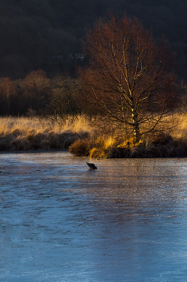 Tragaron Bog Feb cold frozen water 2010.jpg