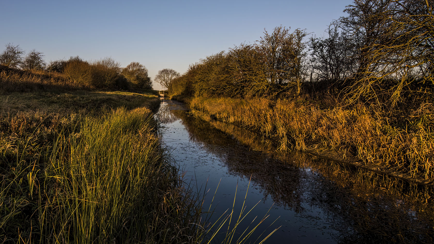 walking the dogs linconshire drains next to witham_12_26_2022_12.jpg